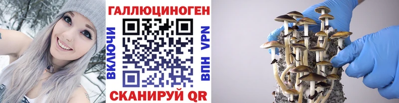 Псилоцибиновые грибы MAGIC MUSHROOMS  Тайга 